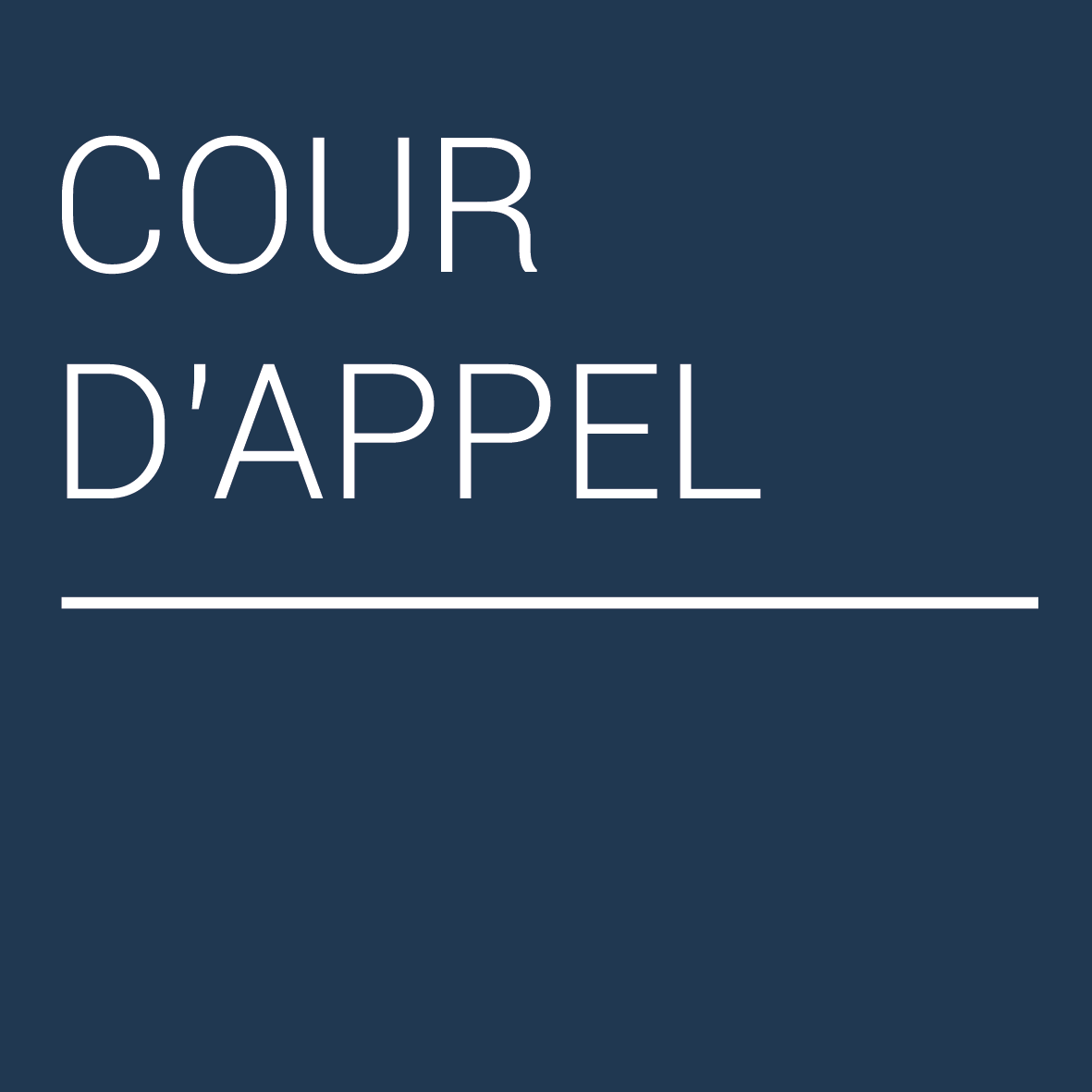 CourDappel_Plan de travail 1 CourDappel_Plan de travail 1